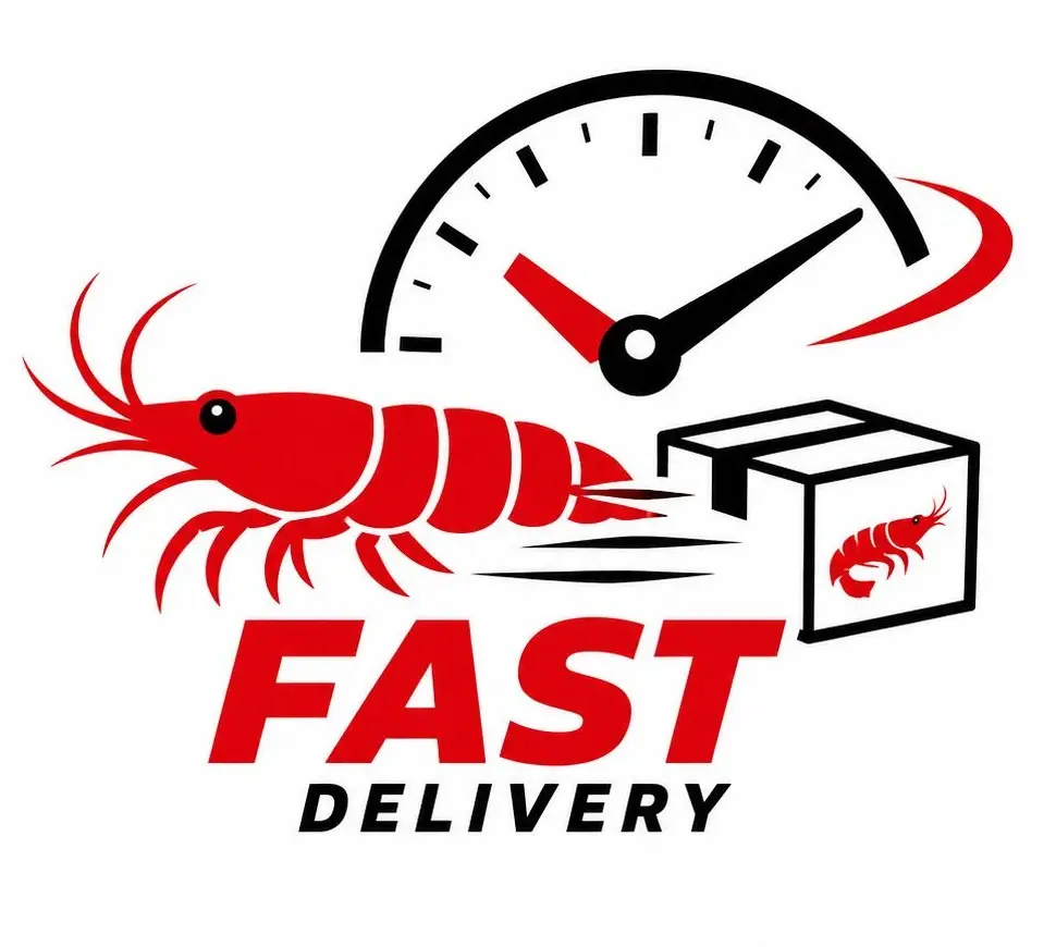 Delivery