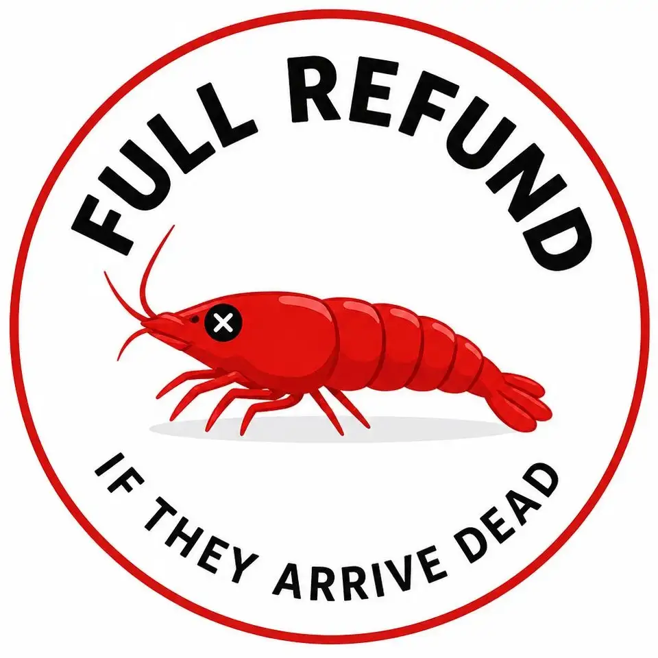 Live Arrival Guarantee